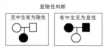 有中生无―显性(亲代双亲有病子代无病)无中生有―隐性(亲代