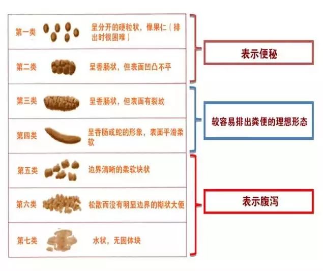 鸽粪便对照图谱图片