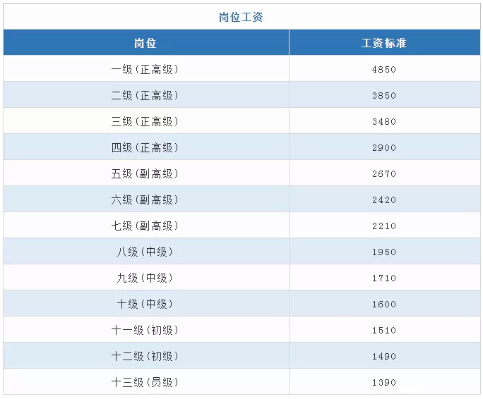 软件技术工资待遇(软件技术工资待遇一个月多少钱)