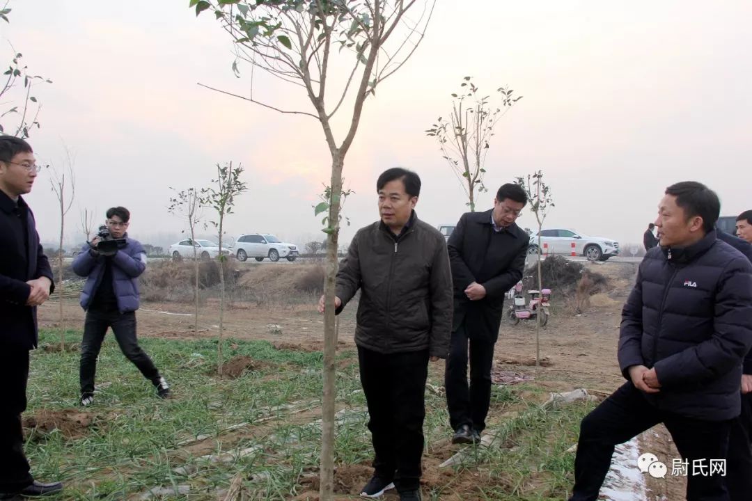 副书记,代县长张锋带队调研国土绿化工作进展情况,副县长靳国营陪同