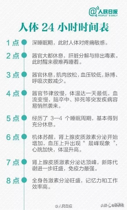 【养生】健康生活——人体24小时时间表