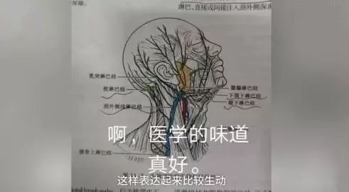 讲成相声,10万学生抢课;医科大学举办表情包比赛,医学生专属x光点赞手