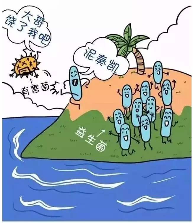 宝宝肠道内正在发生的细菌大战