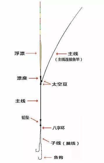 手抛线钓鱼示意图图片