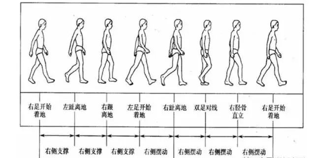 走路姿势出卖了你的健康状况康复师必备掌握的这13种异常步态