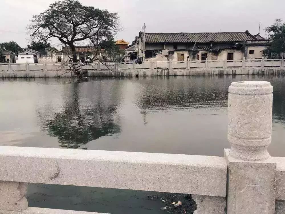 潮阳梅花村图片