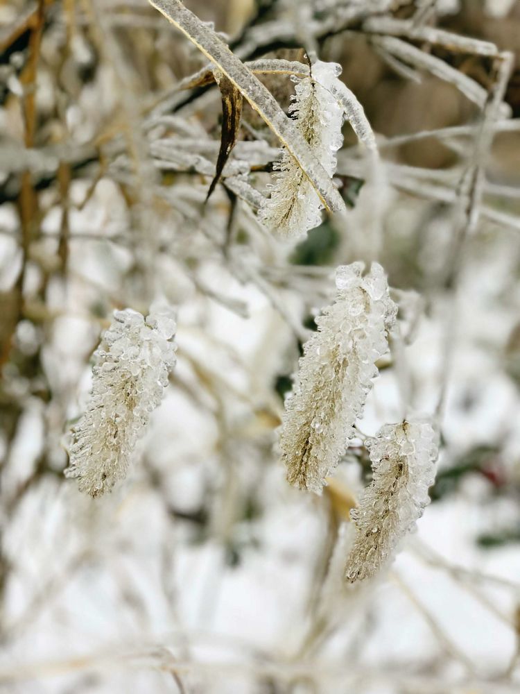 浦江美女峰雪景图片