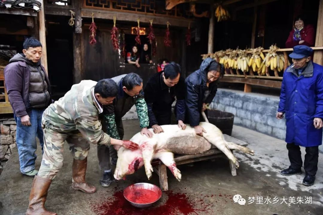 这时候,屠夫从腰间取出锋利的杀猪刀,照着猪的颈部一下子扎进心脏.