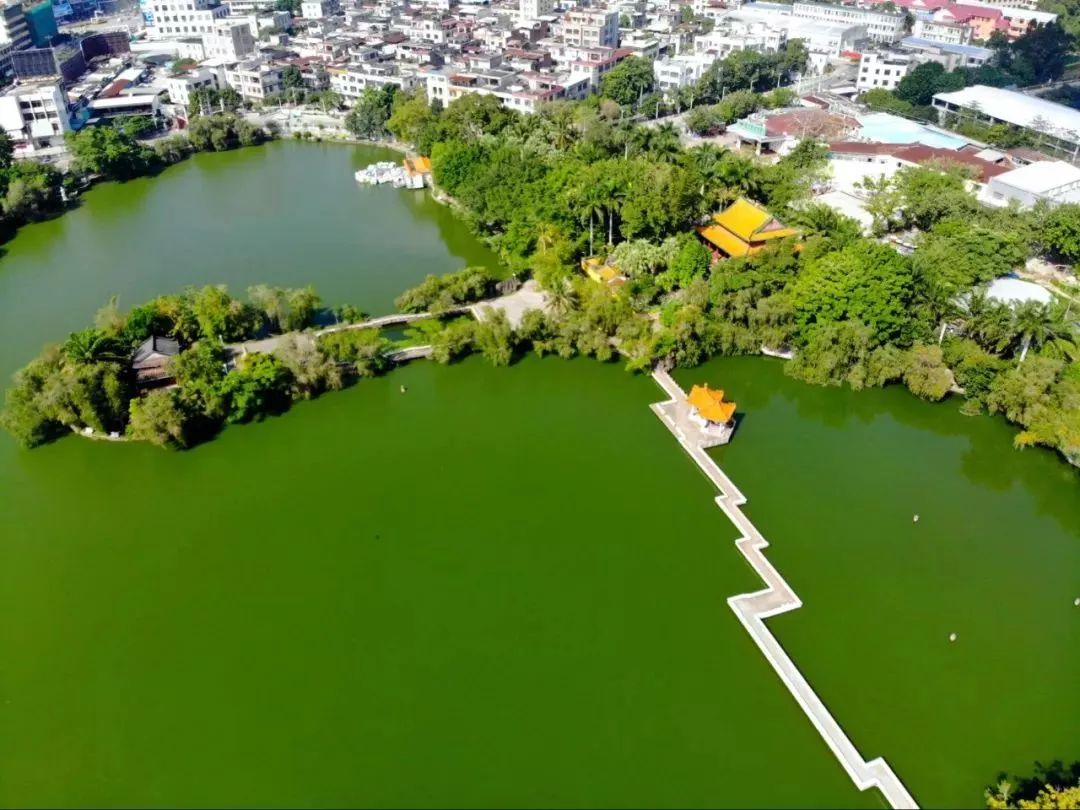 雷州雷阳湖公园建设图片