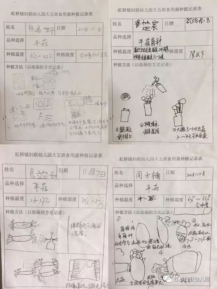 蘑菇成长记虹桥镇妇联幼儿园悦玩创课程故事