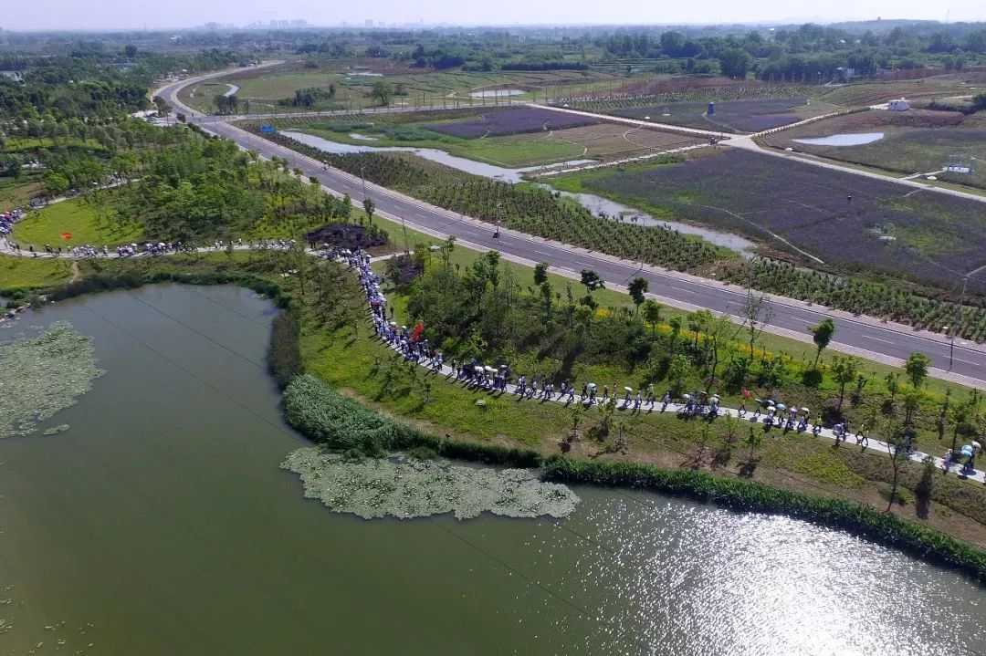 南湖溼地公園明清老街悠然藍溪音樂噴泉六安海洋大世界峽谷漂流我叫