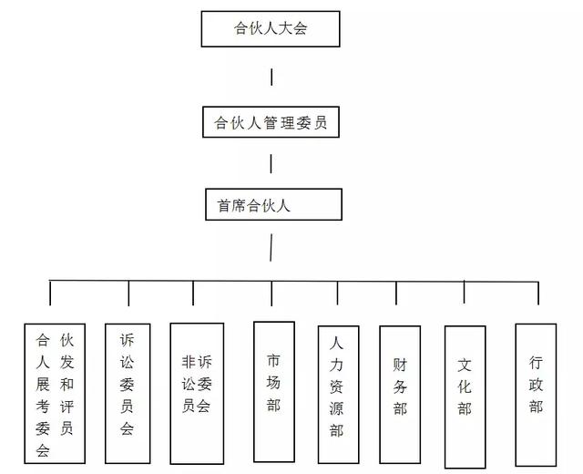 律师事务所组织架构图图片