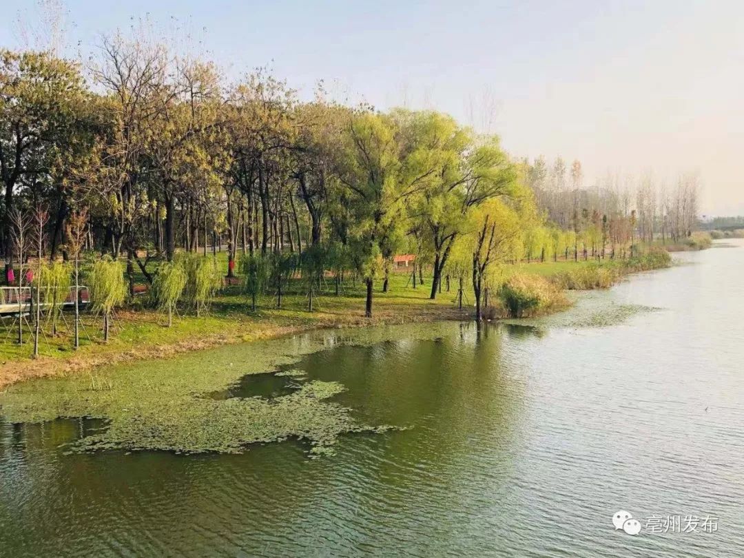 亳州這個大公園通過竣工驗收!看看有多美!