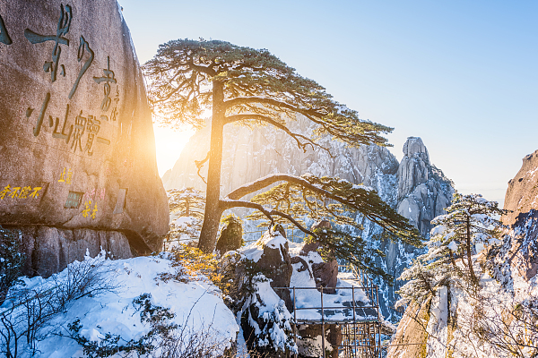 迎客松雪景图片