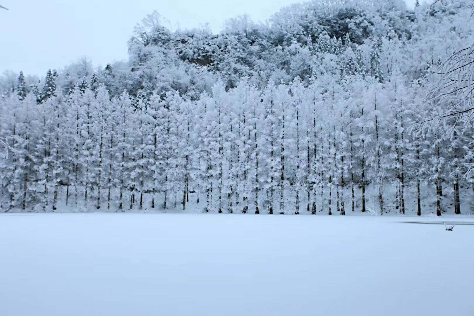 龙池雪景图片