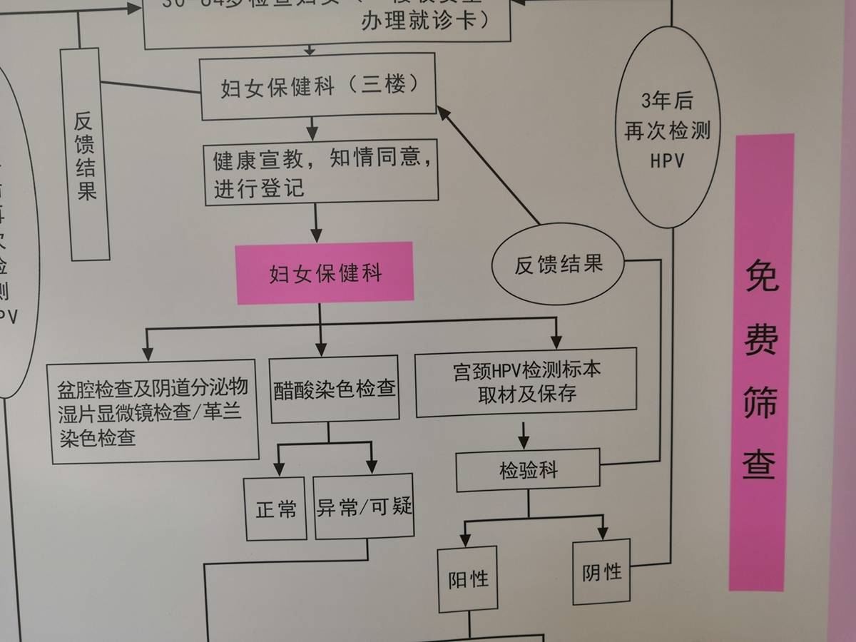 免費篩查內容包括:(一)宮頸癌篩查:包括婦科檢查(盆腔檢查和陰道分泌