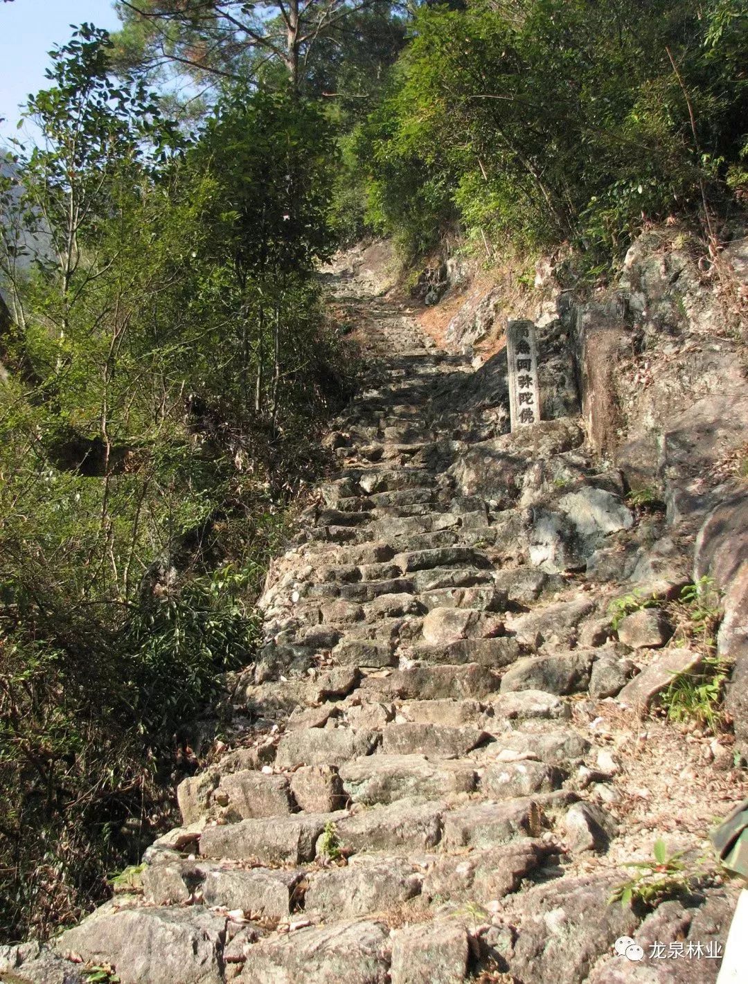 昴山古道东起锦溪镇上锦村鉴心寺,西至锦溪镇百里村长河自然村,全长约