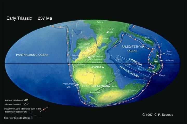 5亿年前-6500万年前,包括三个纪:三叠纪,侏罗纪与白垩纪.