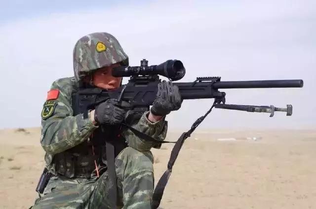 中国79式步枪图片图片