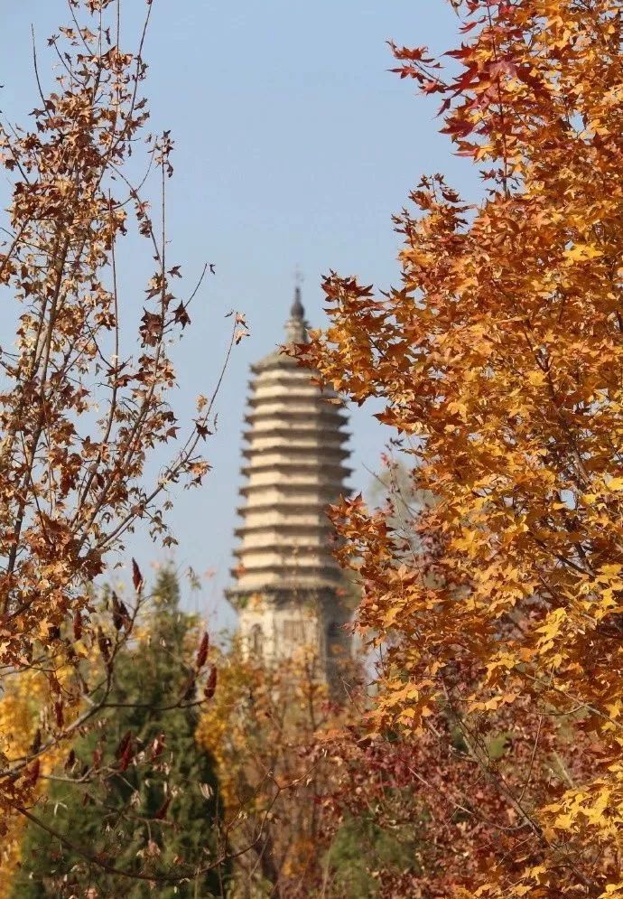 厲害了易縣有河北省四星級公園園林式街道你知道在哪嗎