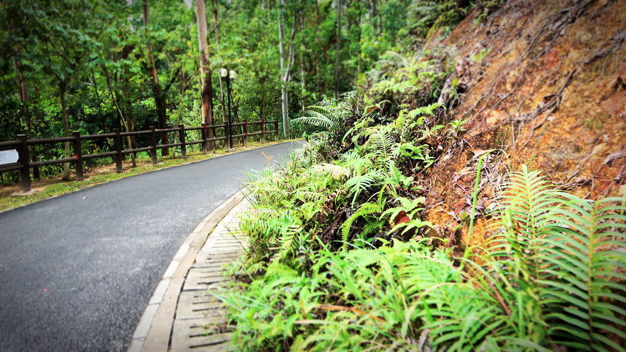 游记之博罗东山公园碧绿的湖景宛如翡翠青山倒影美不胜收