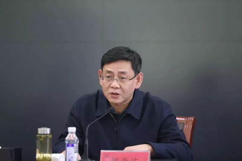 武汉市长胡亚波简介图片