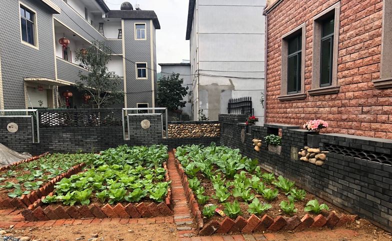 拆後地變身菜園子拆後地變身美麗庭院拆後地變身小景觀截至12月18日