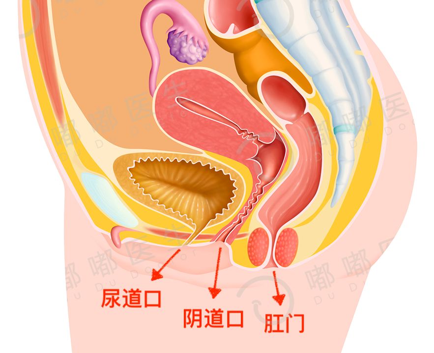 女婴儿尿道感染的图片图片