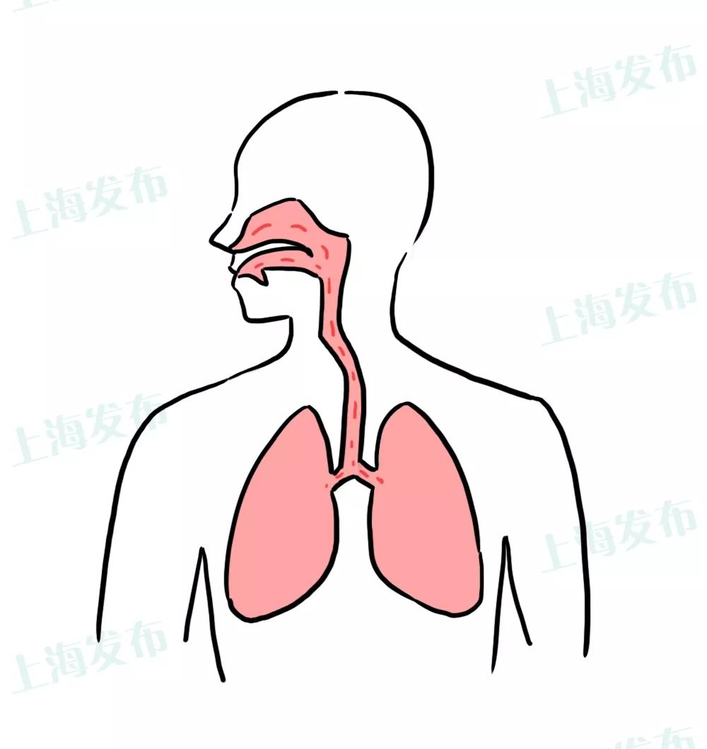 人体呼吸示意图简笔画图片