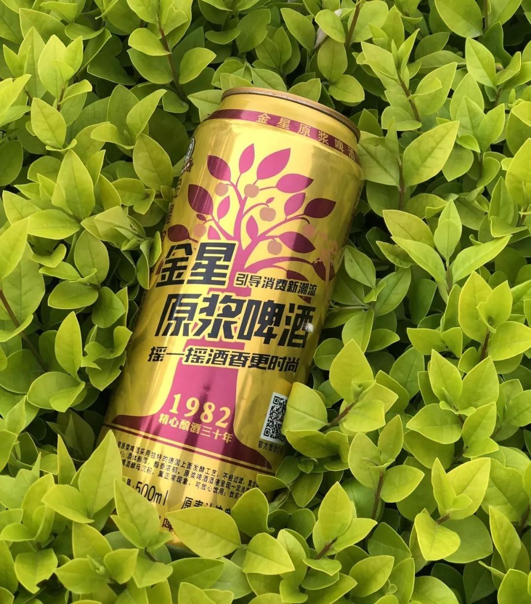 金星原漿:精釀啤酒的領航者_釀造