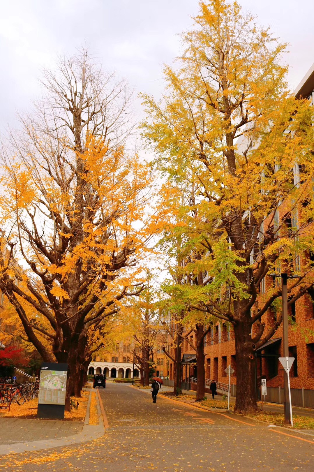 金澤大學,岡山大學,熊本大學,電氣通信大學,東京藝術大學大阪教育大學