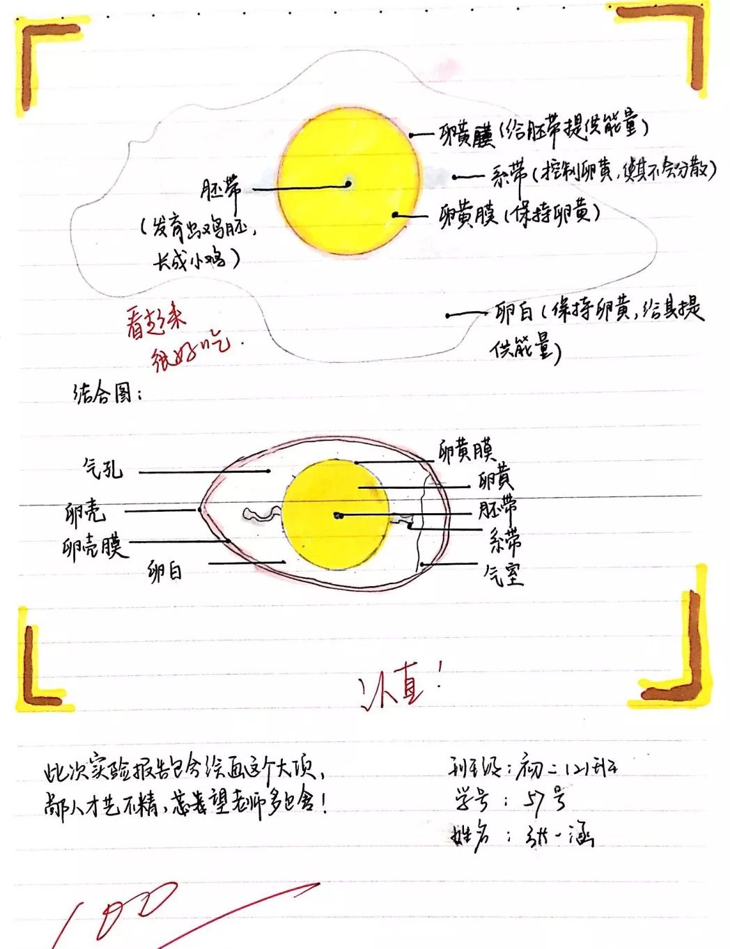 爱上心远之鸡蛋的秘密——心远中学初二生物组学科活动