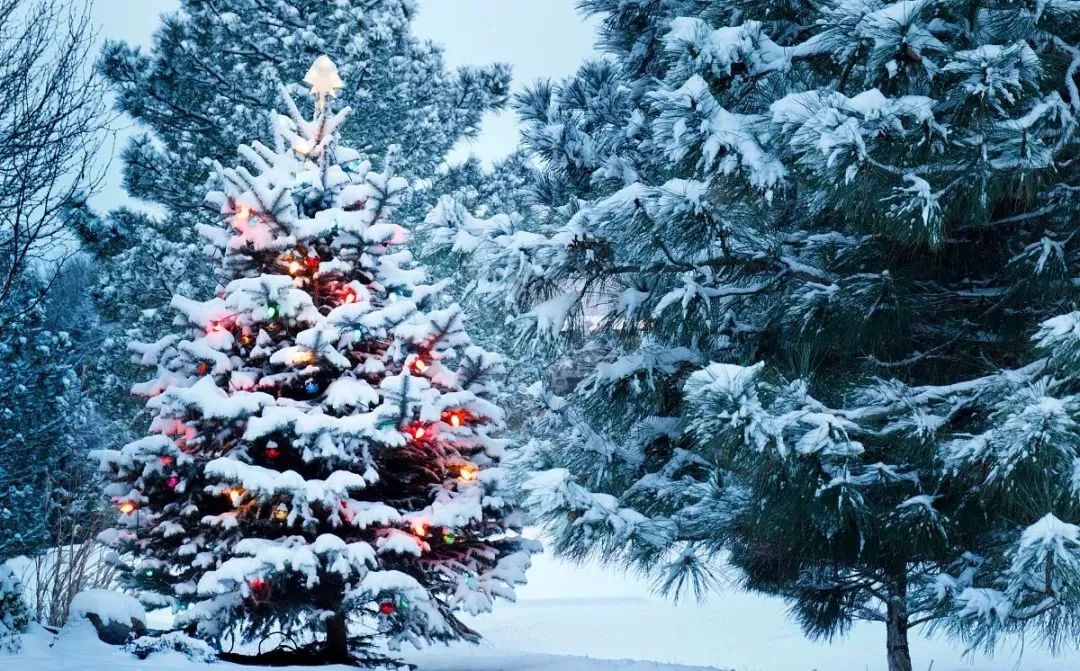 虎门竟然下雪了2018虎门首届圣诞飘雪美食狂欢节门票免费送12月22日