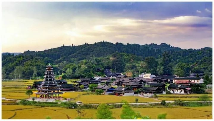 會同縣若水鎮坡塘村鷹嘴界國家級自然保護區旅遊節點:飛山,楊梅生態