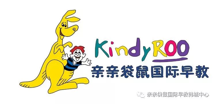 kindy图片