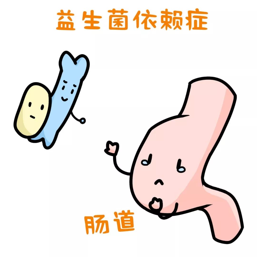 乳糖不耐受 炎症性腸病等 常見誤區 誤區一:益生菌可以長期服用 長期