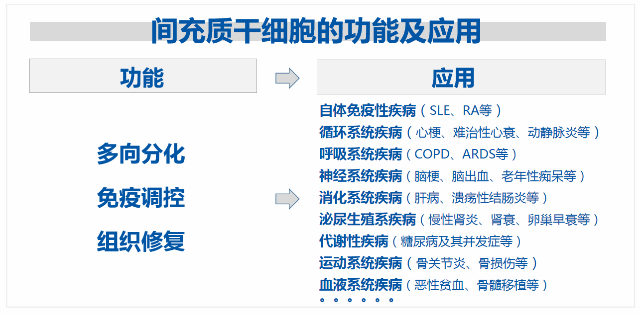 干细胞疗法对人体免疫疾病的重要作用_治疗