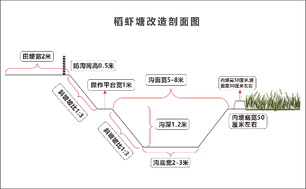 精养龙虾塘设计图图片