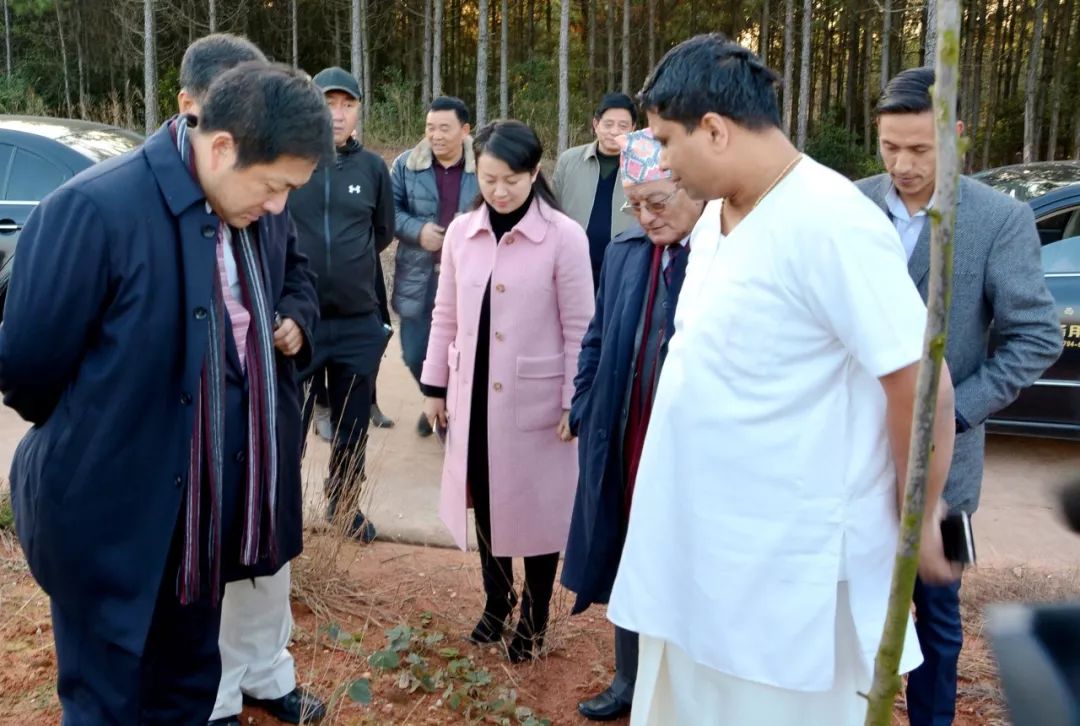 尼泊尔客商代表团到我县考察,县委书记程新飞,县委常委王后发,副县长