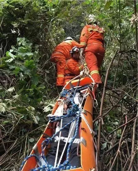 绥阳车祸图片图片