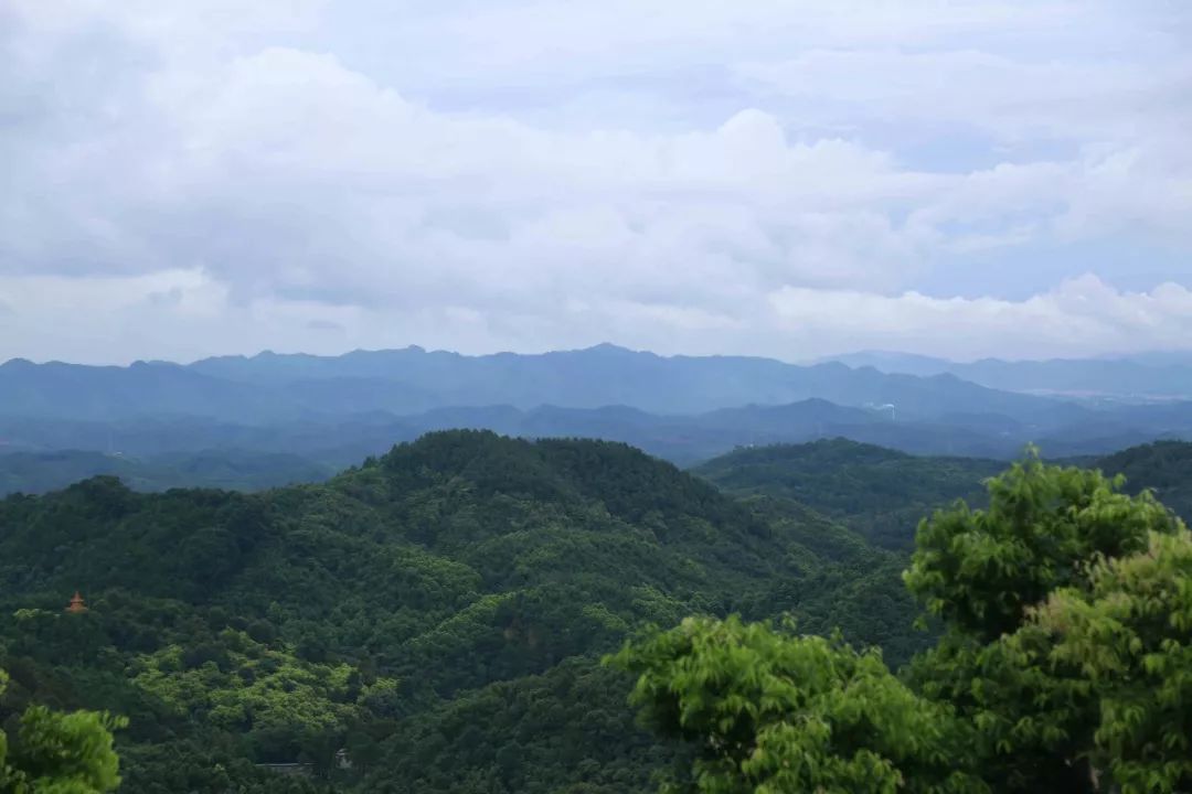 高明云勇林场旅游景点图片