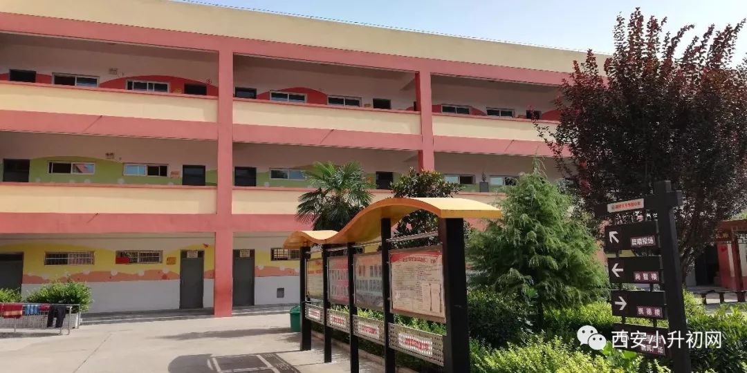 西安金泰东郡小学图片