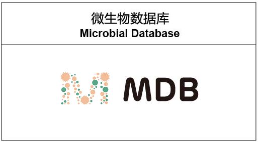 打造基因界的谷歌今天为你细细揭晓国家基因库生命大数据平台