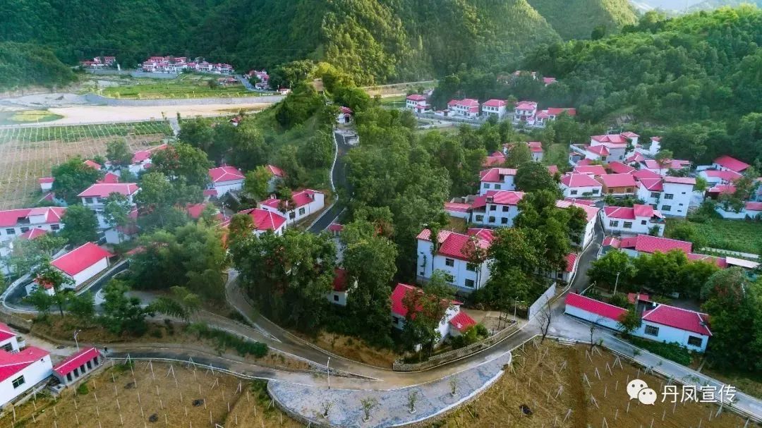 风雨兼程四十年,丹水凤山焕新颜_丹凤县