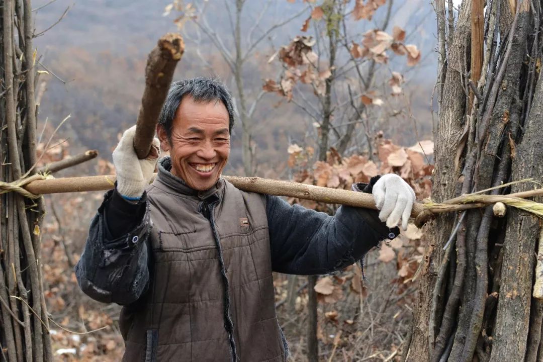 农民挑柴的图片图片