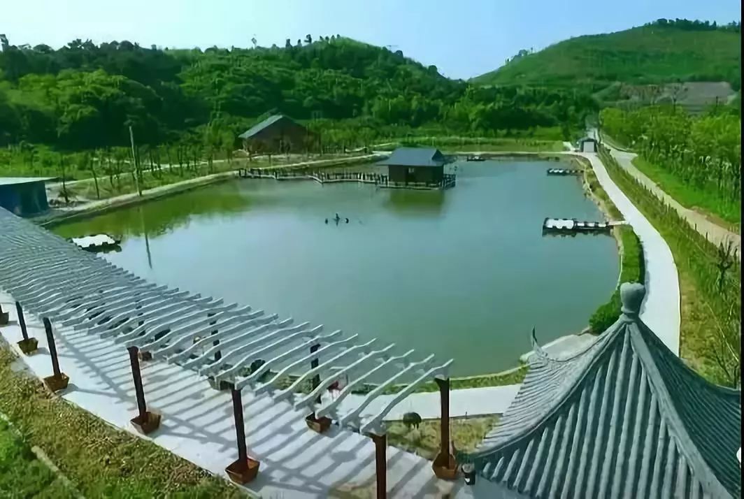 江阴南闸湿地公园图片