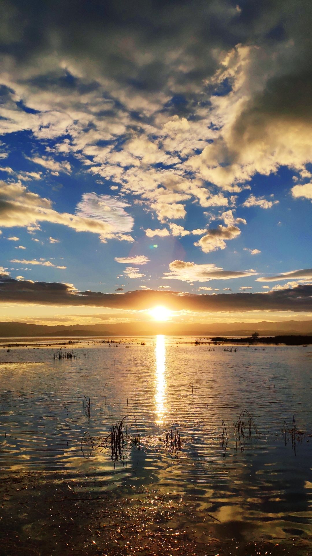 驚豔除了觀鳥威寧草海還有這種美景