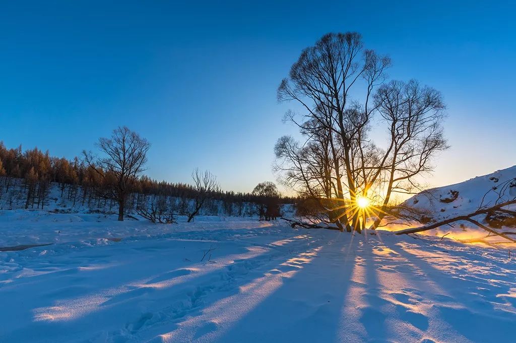 一起来拍出晶莹剔透的冰雪世界吧!