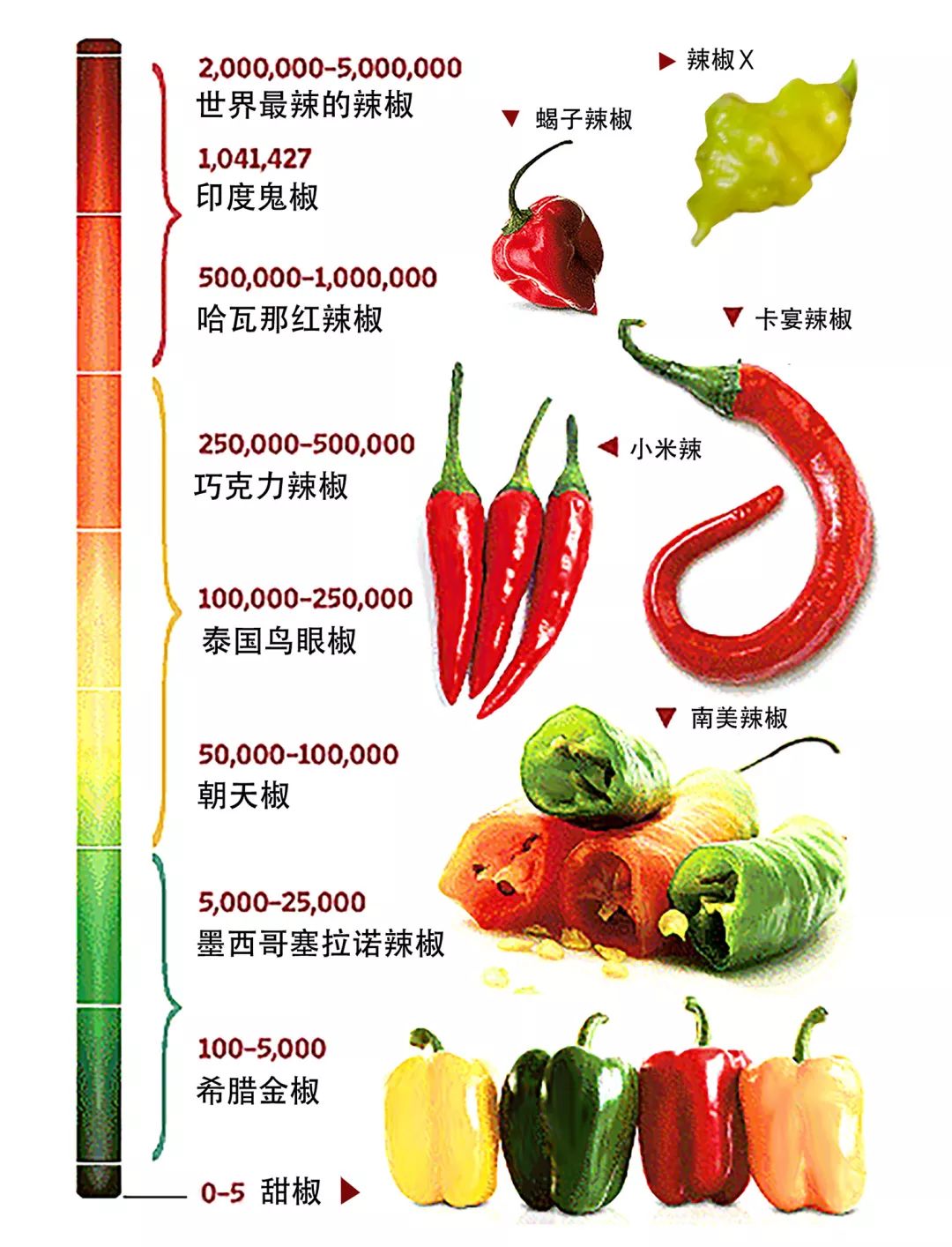 純辣椒素濃度約為1600萬shu,極致的