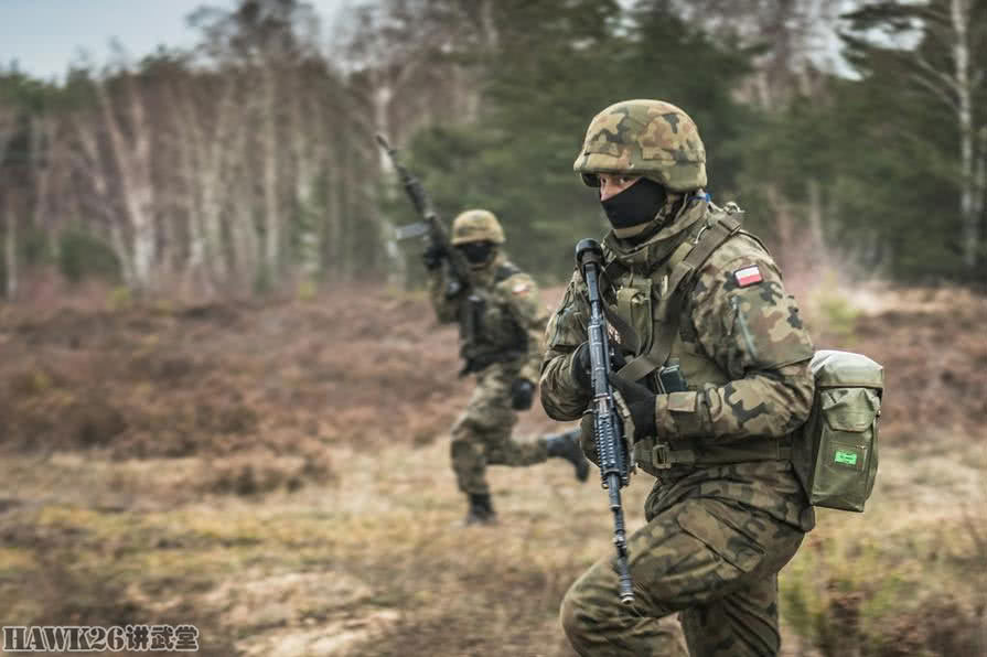 波蘭陸軍槍騎兵團實戰演習狙擊手使用高精度步槍準確射擊